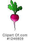 Beets Clipart #1246809 by Vector Tradition SM