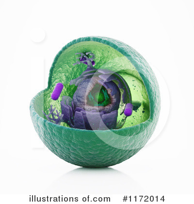 Royalty-Free (RF) Biology Clipart Illustration by Mopic - Stock Sample #1172014