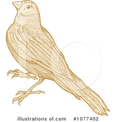 Birds Clipart #1077402 by Any Vector