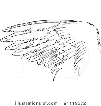 Wing Clipart #1119572 by Prawny Vintage