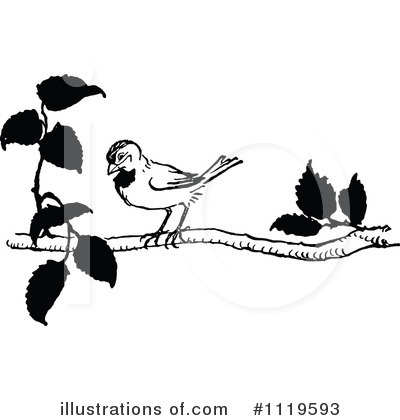Royalty-Free (RF) Bird Clipart Illustration by Prawny Vintage - Stock Sample #1119593
