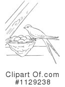 Bird Clipart #1129238 by Picsburg