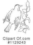 Bird Clipart #1129243 by Picsburg