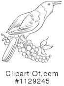 Bird Clipart #1129245 by Picsburg