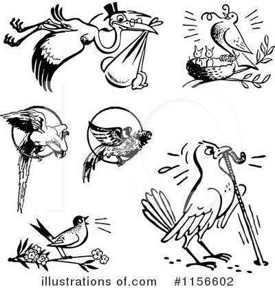 Royalty-Free (RF) Bird Clipart Illustration by BestVector - Stock Sample #1156602