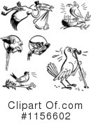 Bird Clipart #1156602 by BestVector