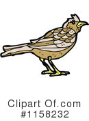 Bird Clipart #1158232 by lineartestpilot