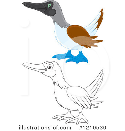 Blue Footed Boobie Clipart #1210530 by Alex Bannykh