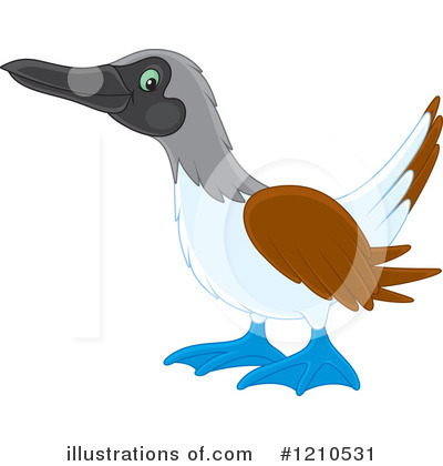 Blue Footed Boobie Clipart #1210531 by Alex Bannykh
