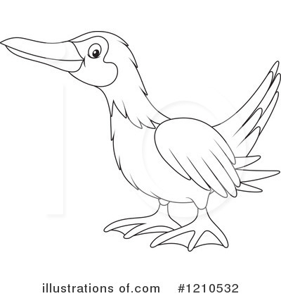 Blue Footed Boobie Clipart #1210532 by Alex Bannykh