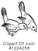 Bird Clipart #1224258 by Picsburg