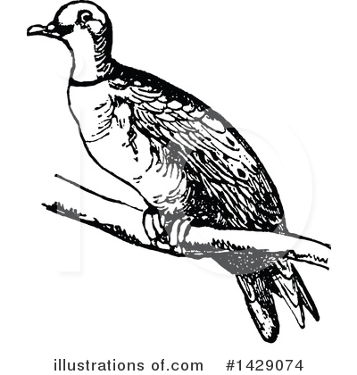 Royalty-Free (RF) Bird Clipart Illustration by Prawny Vintage - Stock Sample #1429074