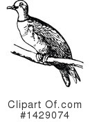 Bird Clipart #1429074 by Prawny Vintage