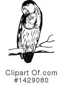 Bird Clipart #1429080 by Prawny Vintage