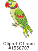 Bird Clipart #1558707 by Alex Bannykh