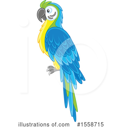 Blue And Gold Macaw Clipart #1558715 by Alex Bannykh