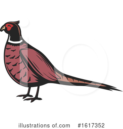 Pheasant Clipart #1617352 by Vector Tradition SM