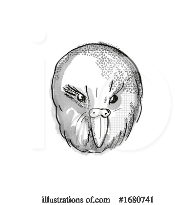 Parrot Clipart #1680741 by patrimonio