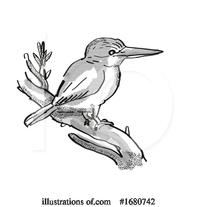 Kingfisher Clipart #1680742 by patrimonio