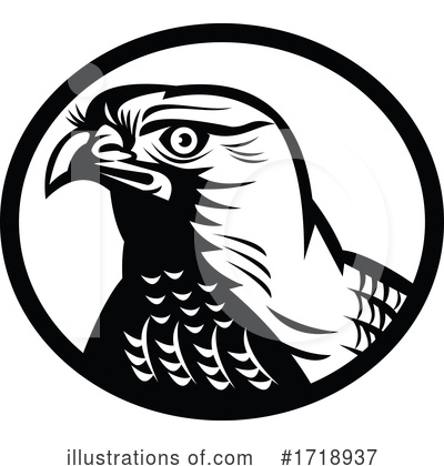 Hawk Clipart #1718937 by patrimonio