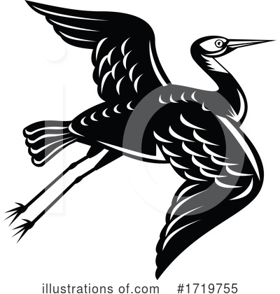 Heron Clipart #1719755 by patrimonio