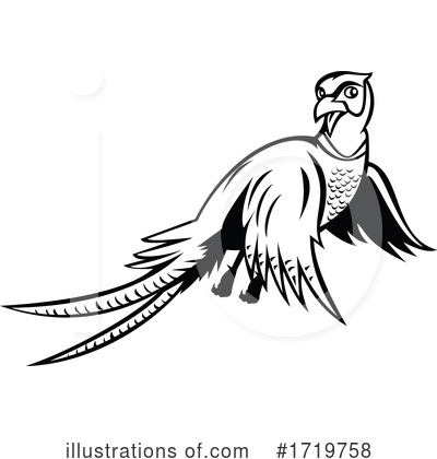 Royalty-Free (RF) Bird Clipart Illustration by patrimonio - Stock Sample #1719758