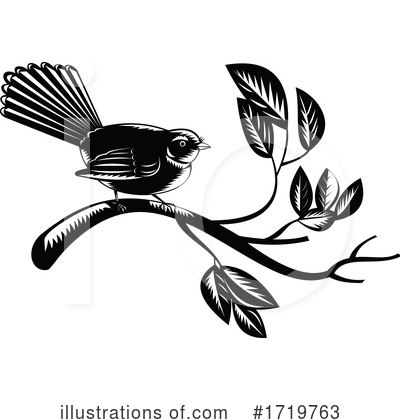 Royalty-Free (RF) Bird Clipart Illustration by patrimonio - Stock Sample #1719763