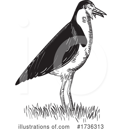 Royalty-Free (RF) Bird Clipart Illustration by patrimonio - Stock Sample #1736313