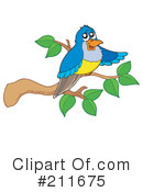 Bird Clipart #211675 by visekart