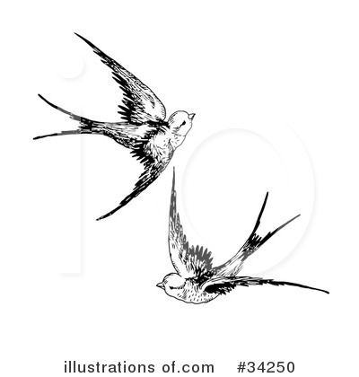 Royalty-Free (RF) Bird Clipart Illustration by C Charley-Franzwa - Stock Sample #34250