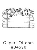Bird Clipart #34590 by C Charley-Franzwa