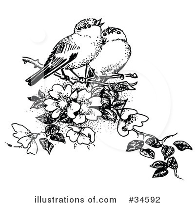 Birds Clipart #34592 by C Charley-Franzwa