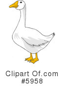 Bird Clipart #5958 by djart