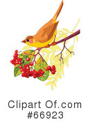 Bird Clipart #66923 by Pushkin