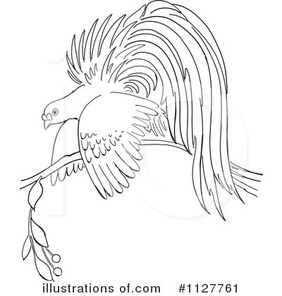 Royalty-Free (RF) Bird Of Paradise Clipart Illustration by Picsburg - Stock Sample #1127761