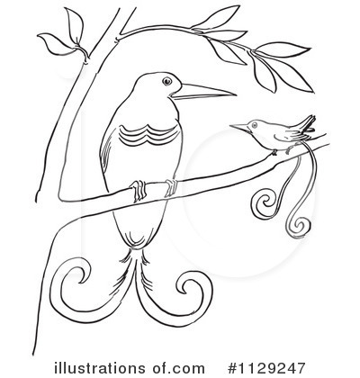 Bird Of Paradise Clipart #1129247 by Picsburg