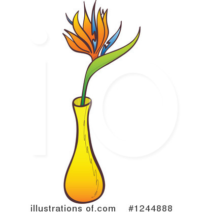 Bird Of Paradise Clipart #1244888 by Zooco