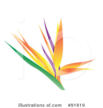 Bird Of Paradise Clipart #91619 by Arena Creative