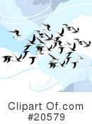 Birds Clipart #20579 by Tonis Pan