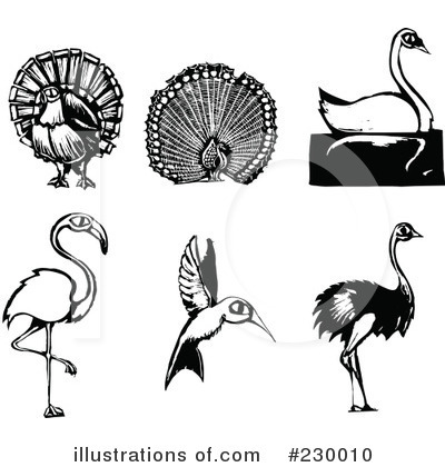 Royalty-Free (RF) Birds Clipart Illustration by xunantunich - Stock Sample #230010