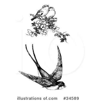 Royalty-Free (RF) Birds Clipart Illustration by C Charley-Franzwa - Stock Sample #34589