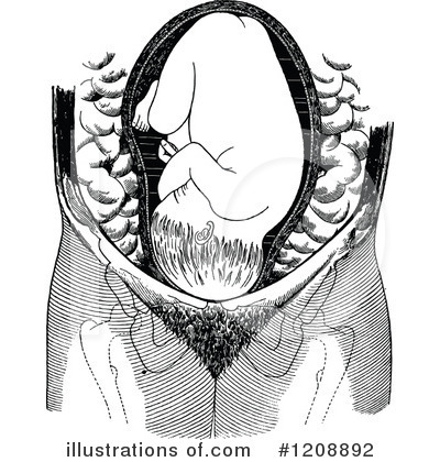 Human Anatomy Clipart #1208892 by Prawny Vintage