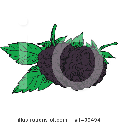 Blackberries Clipart #1409494 by Vector Tradition SM