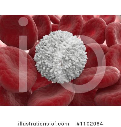 Red Blood Cell Clipart #1102064 by Mopic