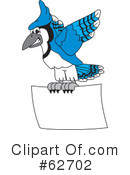 Blue Jay Mascot Clipart #62702 by Mascot Junction