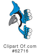 Blue Jay Mascot Clipart #62716 by Mascot Junction