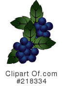 Blueberries Clipart #218334 by Pams Clipart