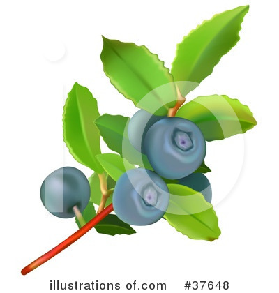 Blueberry Clipart #37648 by dero