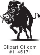 Boar Clipart #1145171 by patrimonio