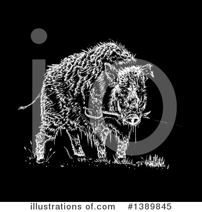 Royalty-Free (RF) Boar Clipart Illustration by lineartestpilot - Stock Sample #1389845